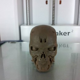 IDEA23D // Réalisations - Tête de mort